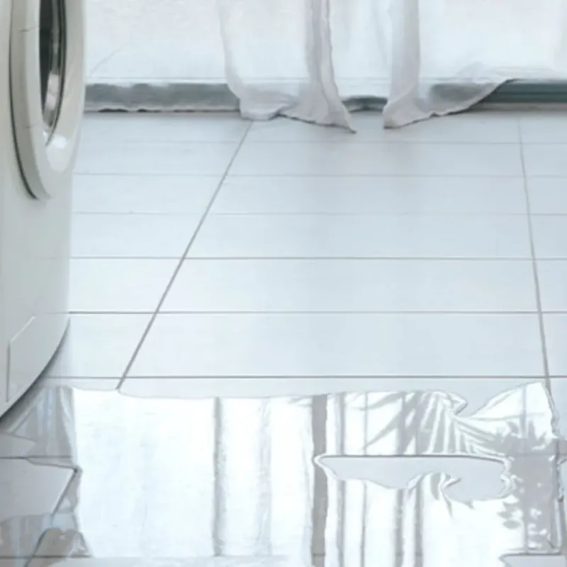 Appliance Leak Cleanup in Manassas, VA
