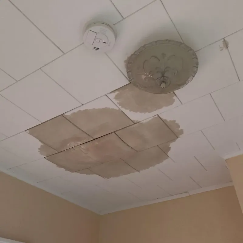 Ceiling Water Damage Repair in Manassas, VA