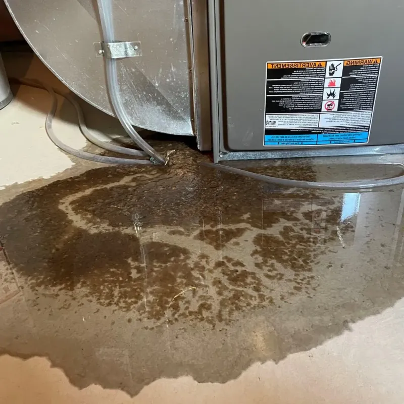 Pipe Burst and Leak Restoration in Manassas, VA